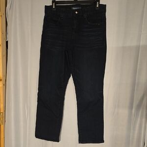 Democracy Dark Blue Straight/Skinny Jeans Size 10P
